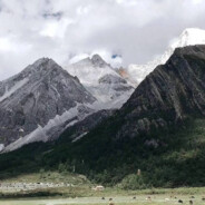 海的那边是自由