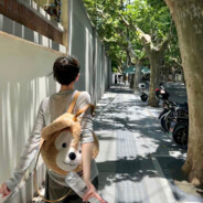 西巴