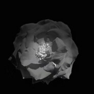 别催了我美甲两厘米