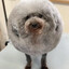 boye