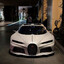 gatti