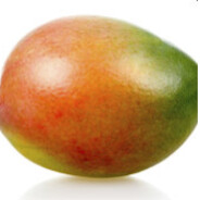 Mango_DK