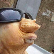 TELASOH avatar