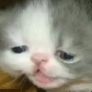 IamFeZ