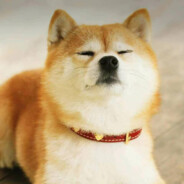 高效薯薯收割机