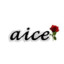 aice.official