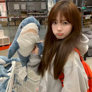 好想当永雏塔菲的狗