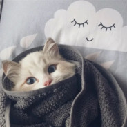 我白给的样子帅吗