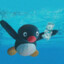 pengpengc