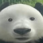 cruble c0ck
