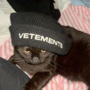 sadvetements