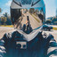 MOTO GANG