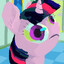 Book Horse
