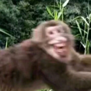 得闲喝点老鼠药