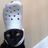 CuteSupra