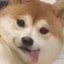 彪哥