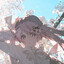 Xig_Sheep
