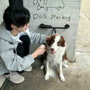 村里最帅的矿工