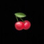 cherry