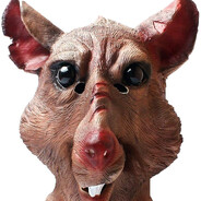 NiSplinter