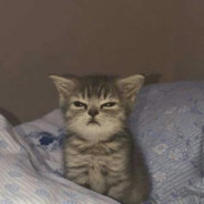 curse - steam id 76561197961587958
