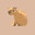 Capybara666