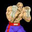 Sagat