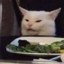 Mr. Cat