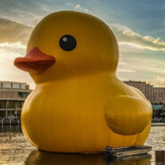 Rubber Duck