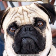 同花打不打得过葫芦耗死