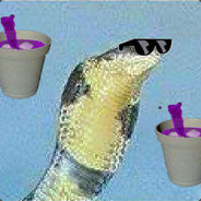 bodhi snek