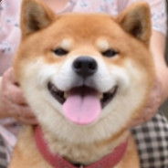 发牌员身体健康寿比南山。