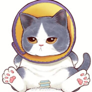 小靖不爱吃香菜