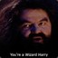 Hagrid ~