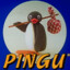 Pingu