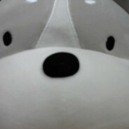 重生之我是阿拉斯加