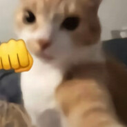 南北绿豆哈基咪