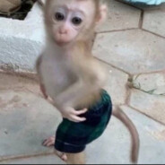 дрочу с 6 лет мне 8