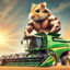 HamsteRComBaJN