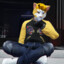 GatoTecheroVT