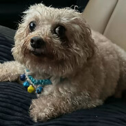 Принц Тёмный