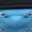 Slitherysnake124 Steam avatar