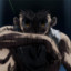 Gon