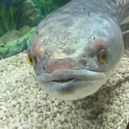 骑着蜗牛去流浪