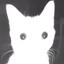 Meowster