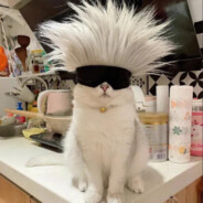 直直直接给我坐下