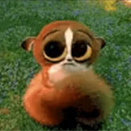 Bob - steam id 76561198980893404