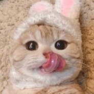 别给上山猎叫鬼150-