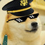 AirMarshalDoge