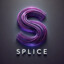 Splice